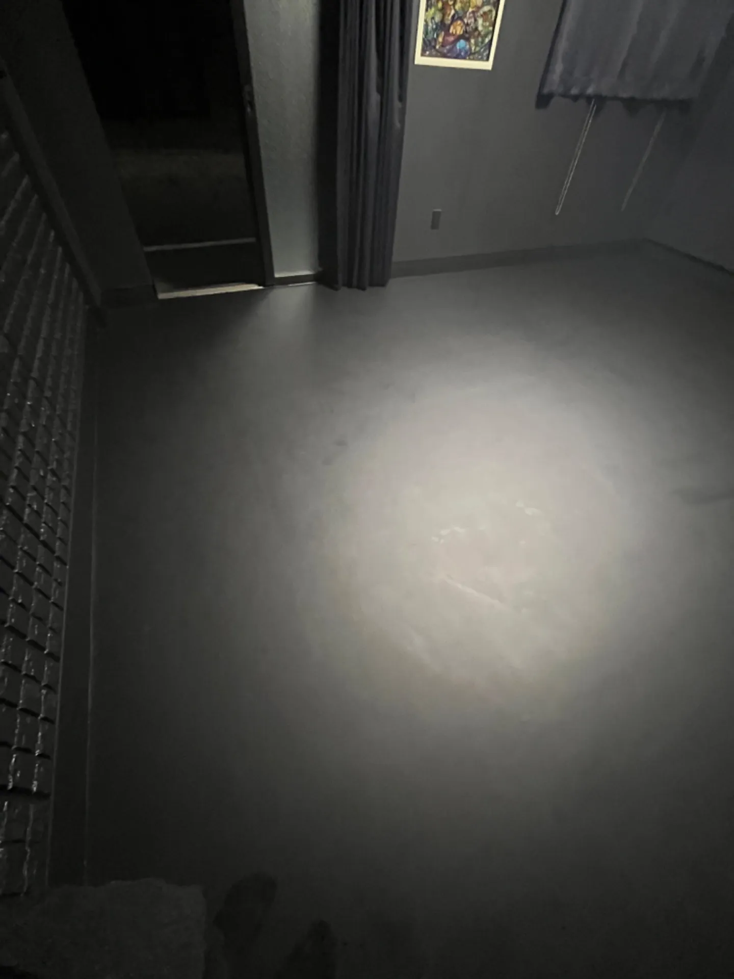 友達の家のコンクリート床をブラック塗装で汚れの染みつき防止